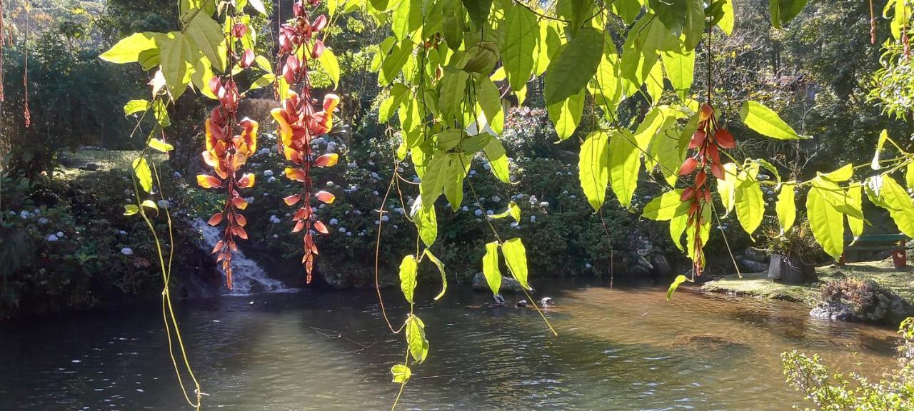 Inn Espirito Aguas Chales
